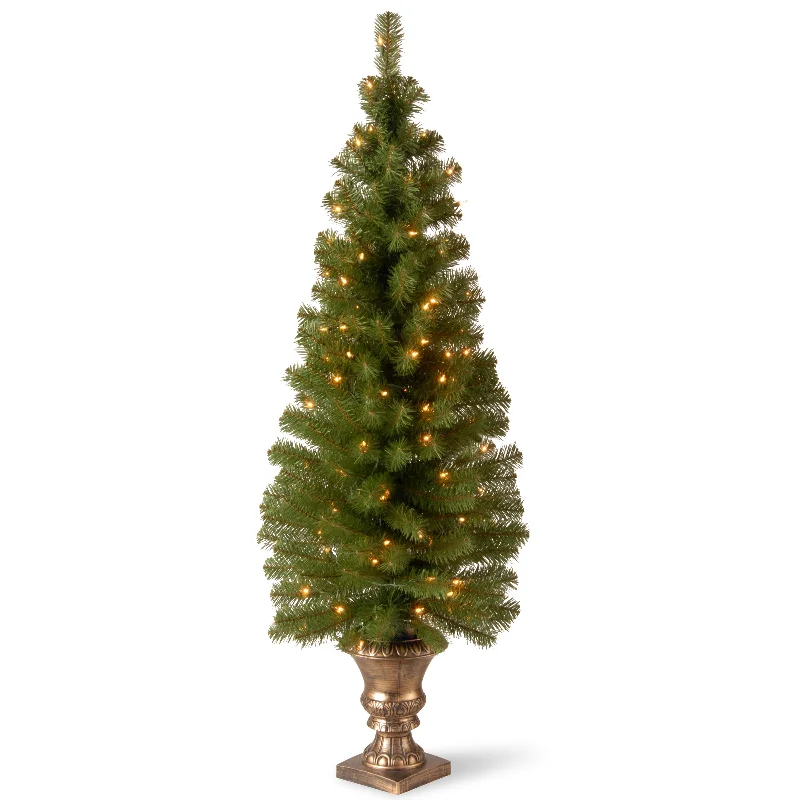 5 ft. Pre-Lit Montclair Spruce Slim Tree with Clear Lights