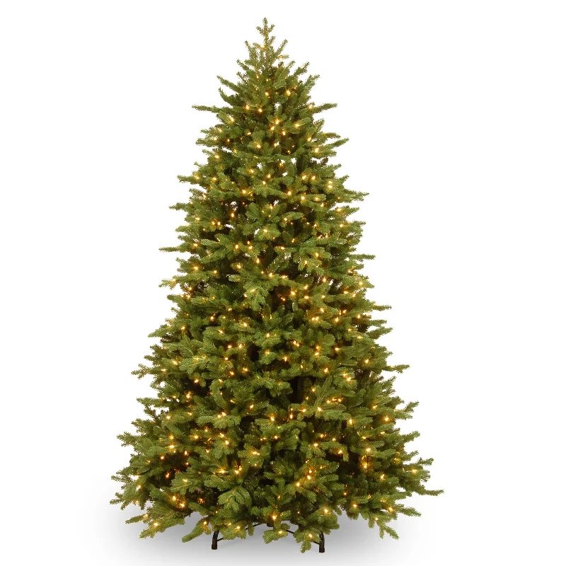 9 ft. Pre-Lit Princeton Deluxe Fraser Fir Tree with PowerConnect Dual Color LED Lights