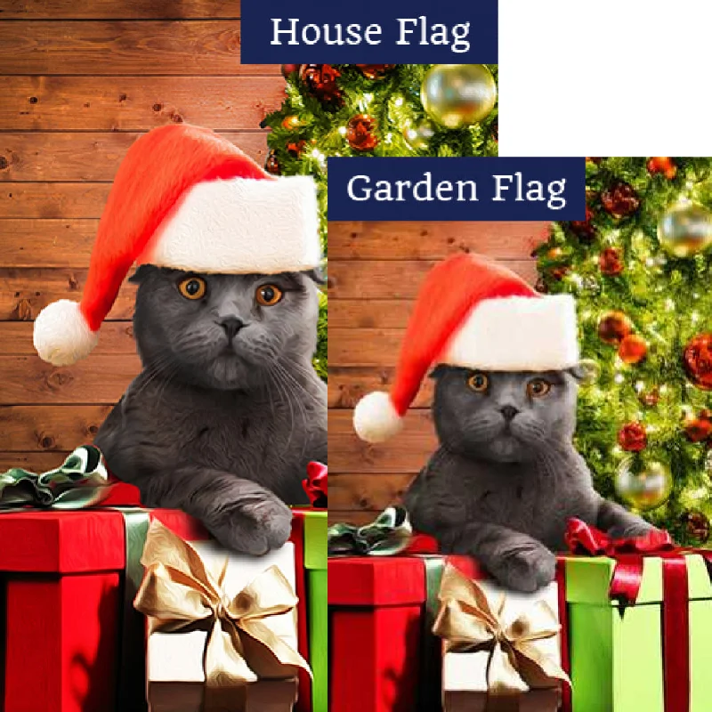 Chester, The Cat Has Gifts! Flags Set (2 Pieces)