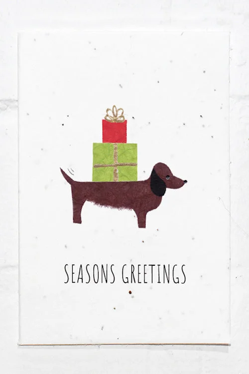 Eco Seed festive sausage dog  - Single Card