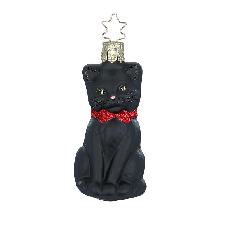 Purr-fect black by Inge Glas of Germany